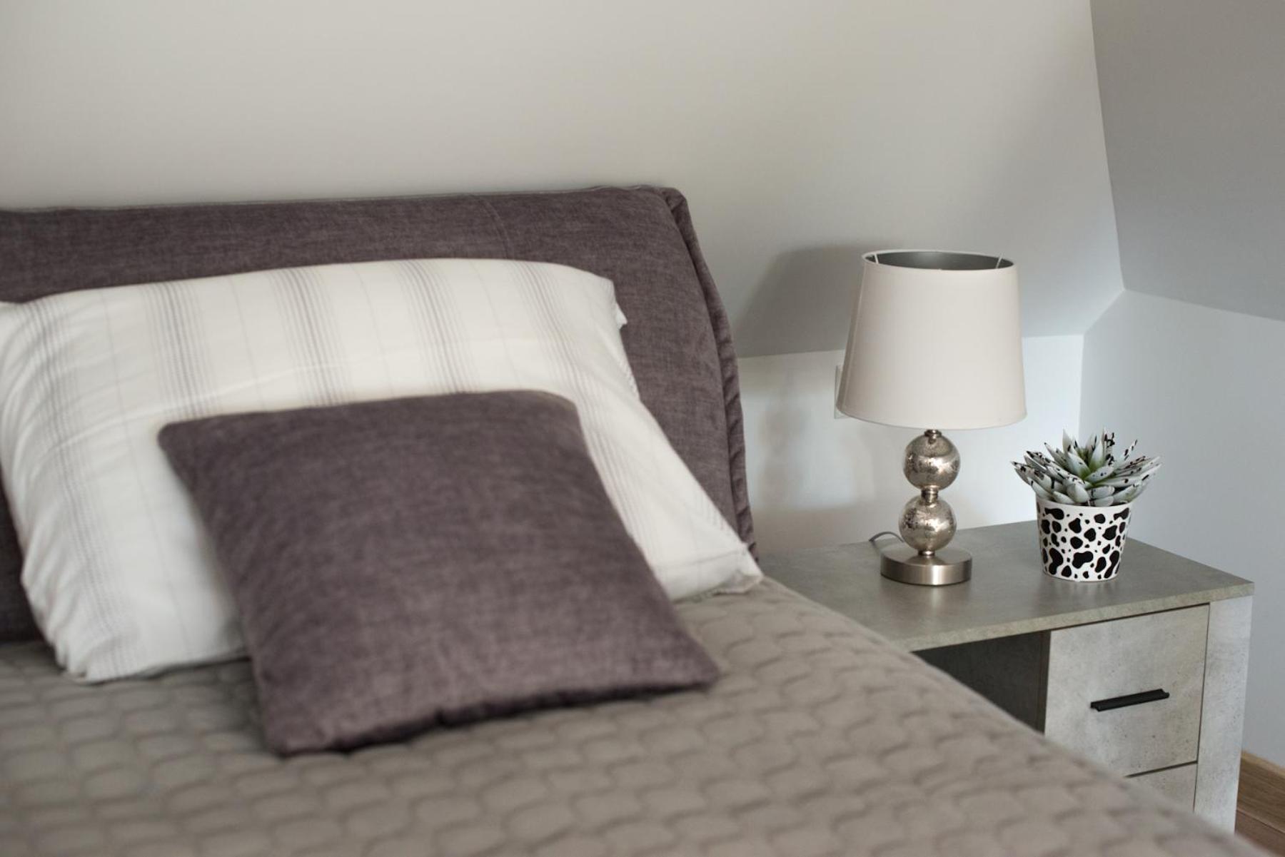 Petro Delux Apartments Kaunas Kültér fotó
