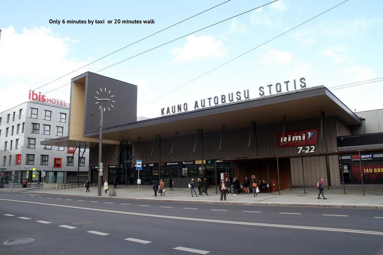 Petro Delux Apartments Kaunas Kültér fotó